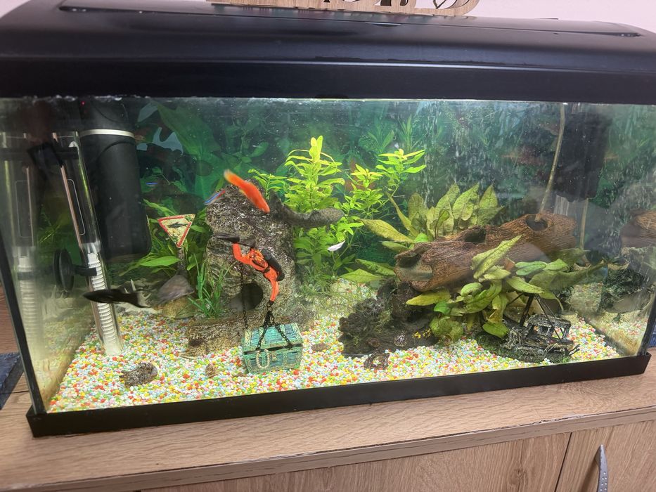 Аквариум 60л оборудван