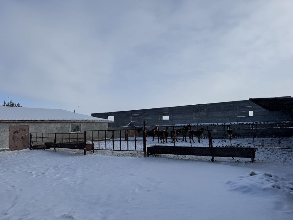 Действующий бизнес