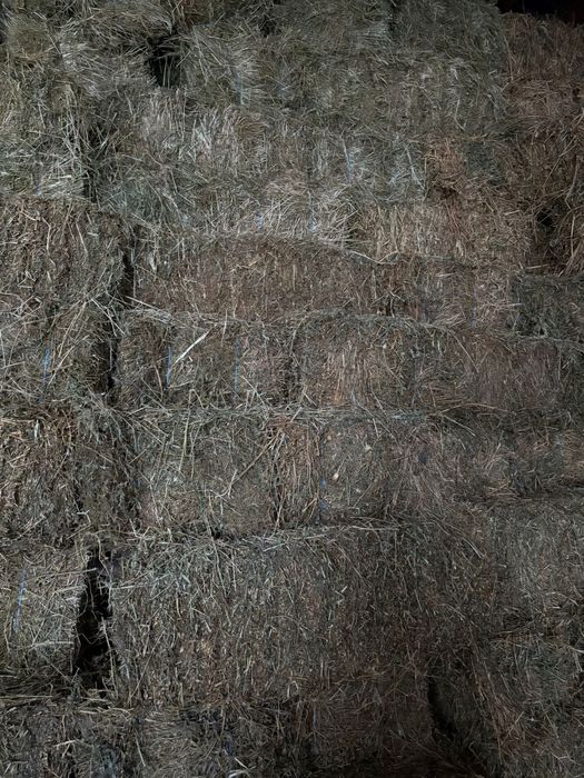 Vând baloti lucernă