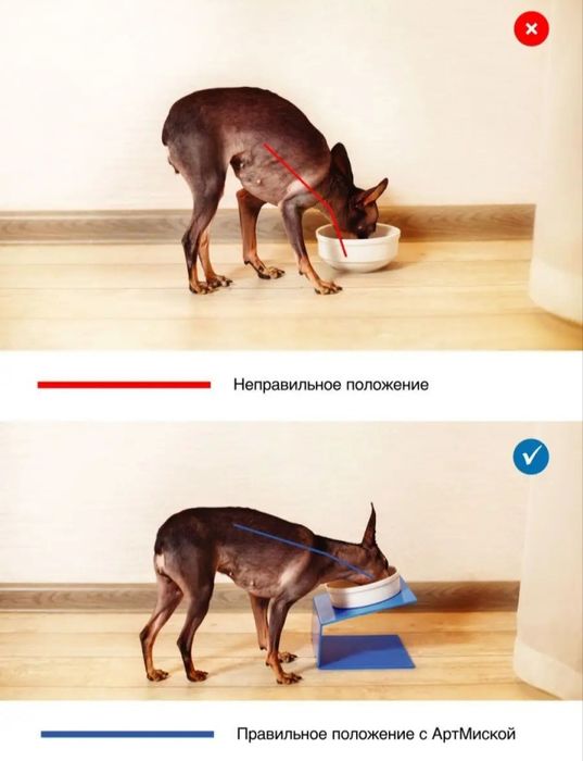 Art miska - миска для кошек/собак