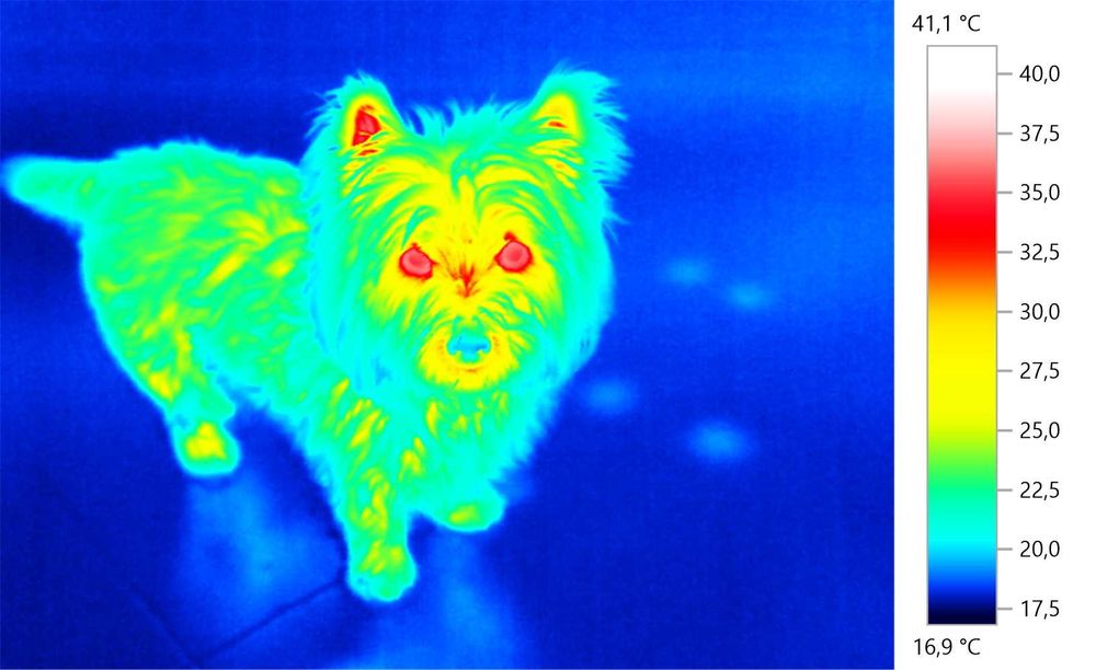 Termografie, termoviziune, termoscanare imobile și echipamente