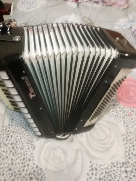 Acordeon parrot cu 80 de bași nou