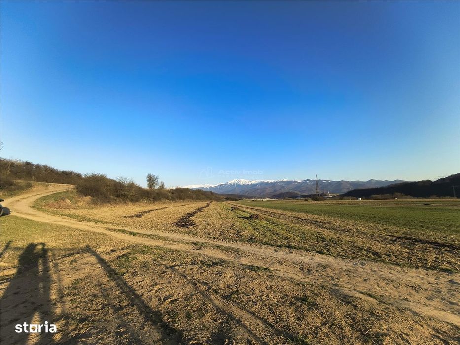 Teren extravilan de vanzare Talmaciu