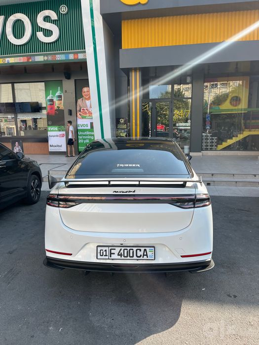 Пролам Gac aion s plus
