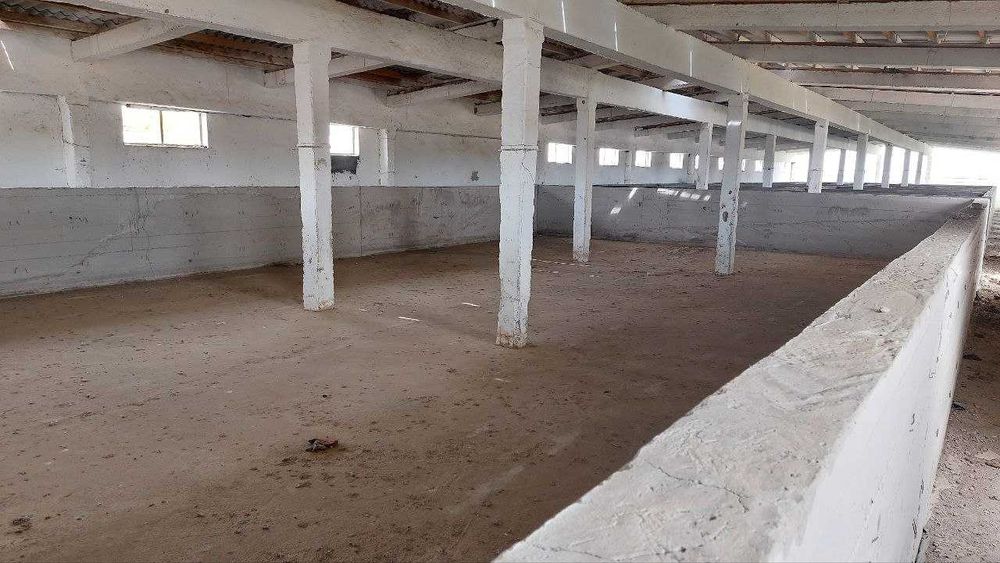 Chorvachilik fermasi