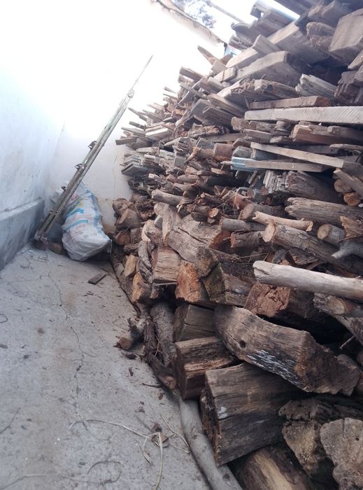 Yoqishga tayyor oʻtin !!!