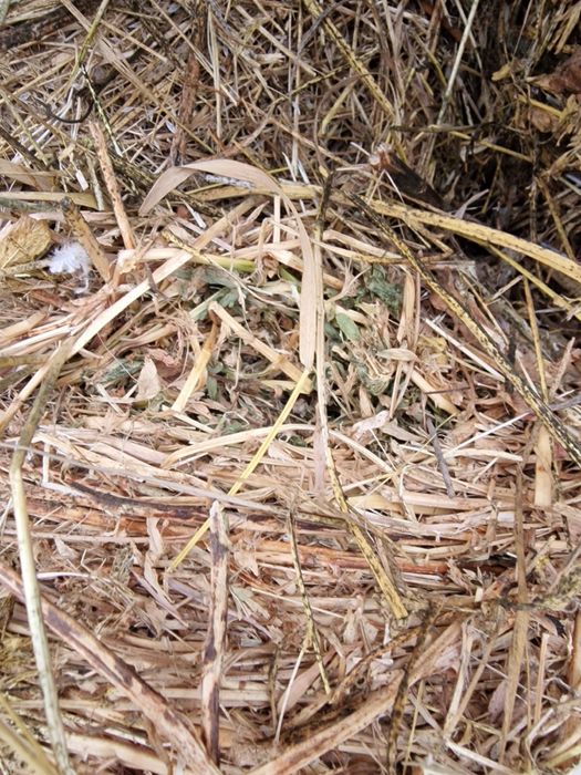 Vand baloate 120x120 si 60x70