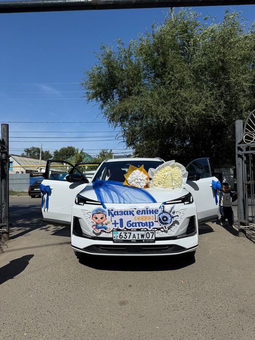 Аренда авто с водителем