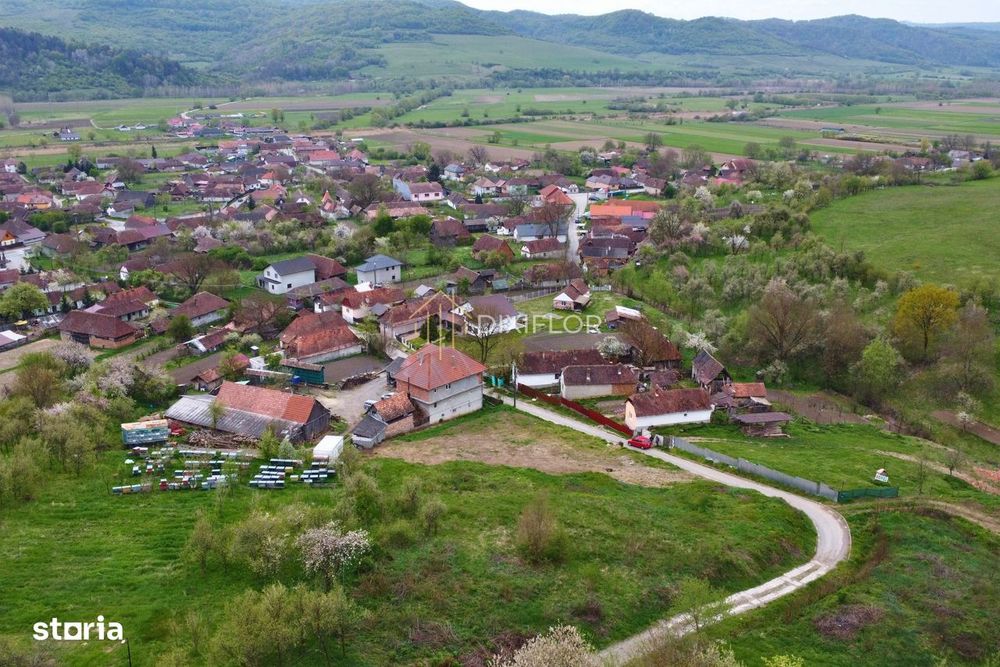 Teren intravilan | Trei Sate