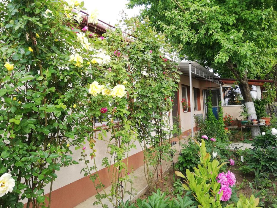 Casă de vânzare, Mihai Bravu, Giurgiu, locuinta permanenta sau casa de vacanta