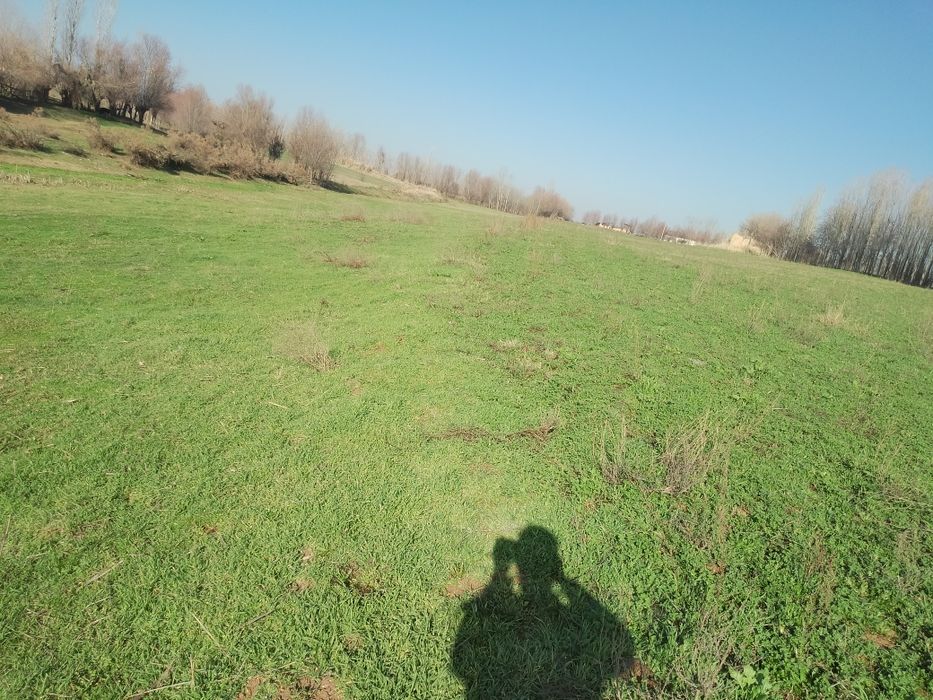 Бука мфй  Уй сотилади 5 хонали гараж бог