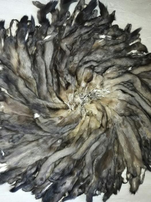 продам шкурки соболя