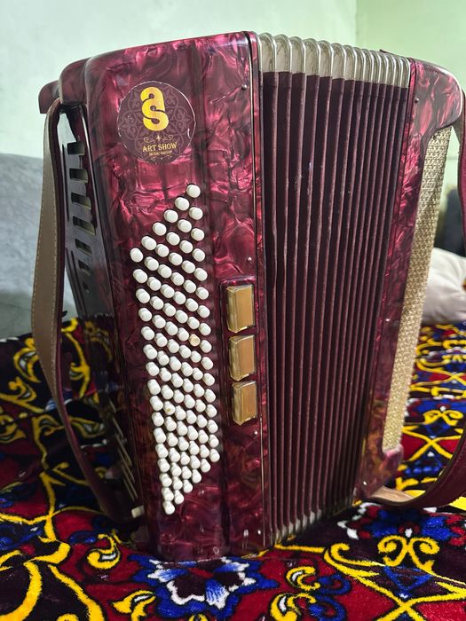 Muzikalni insturment
