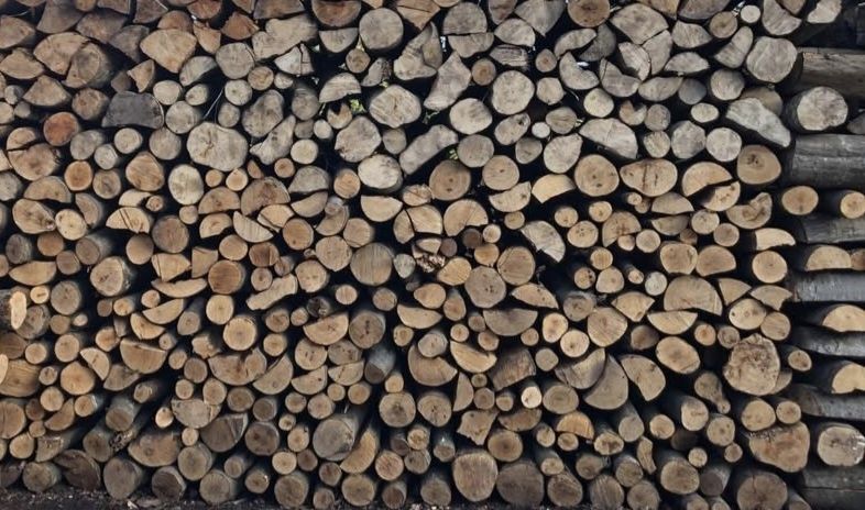 Lemne de foc si carpen