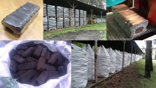 Brichete foc RUF Carbune  BRUN //Cocs// Brichete din lemn fag /OFERTA!