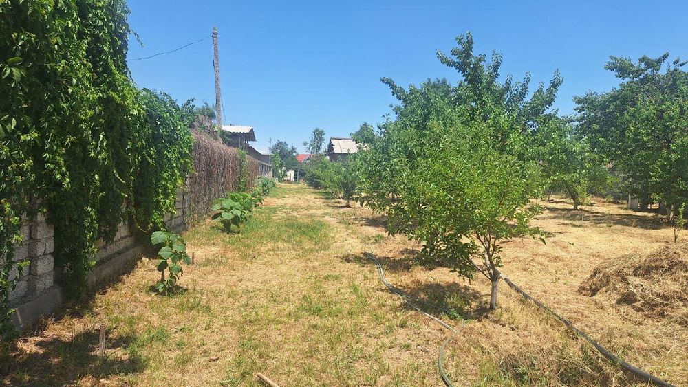 Продается дача в паркенте