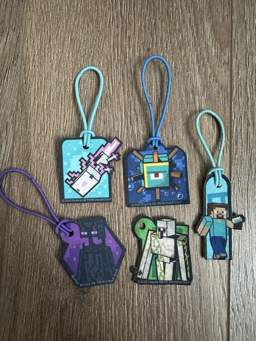 Cartonas mega image expeditia lumii carte minecraft