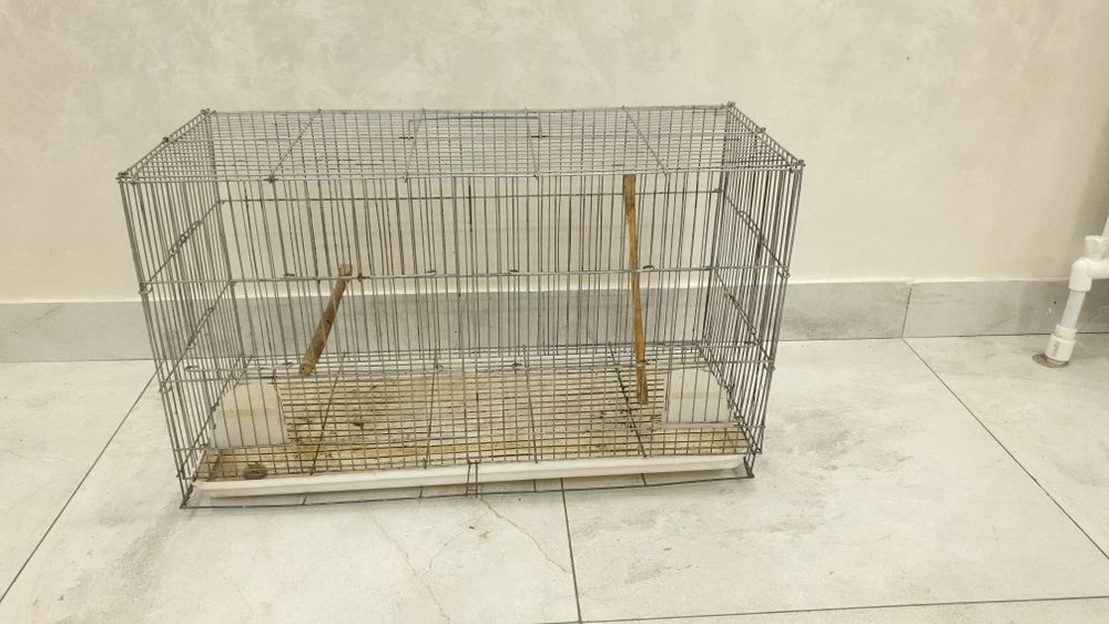 Men xotinimni dostimga karta oyinida yoqotdim (porno)