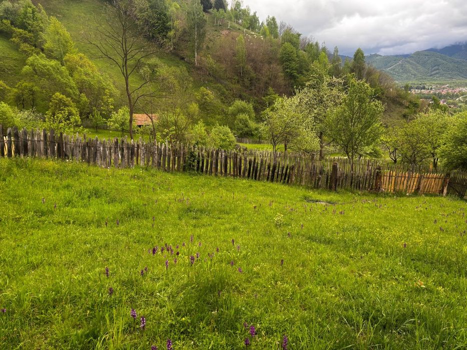 Vand teren extravilan