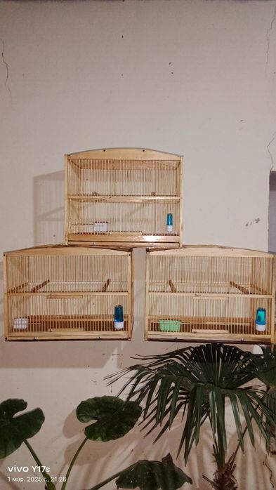 Клетки для канарека