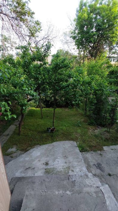 Ттз 2 4 комн ориентир 248 шк