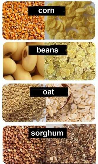 Плющилка 150.0 кг/ч KAZGRANULATOR