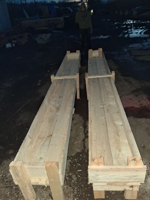 Vând iesili pentru oii