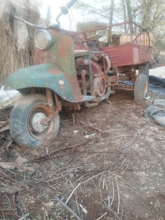 Муравей сотилади