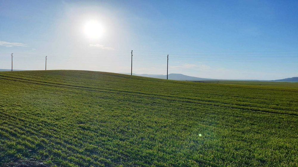 Продава се Земеделски имот в Разград, Промишлена зона - Изток -  кв.м за 488 €/дка - Снимка #1