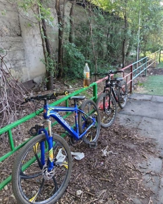 Все чётко велл норм.