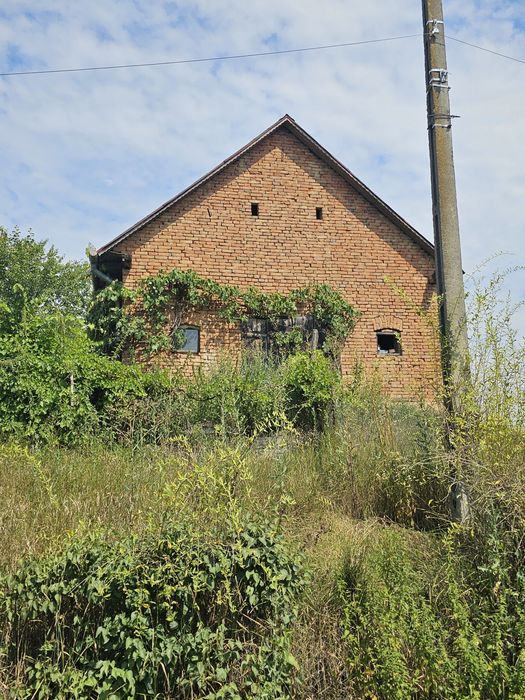 Casă 82 mp cu teren de 10.000 mp intravilan, șură și grajd