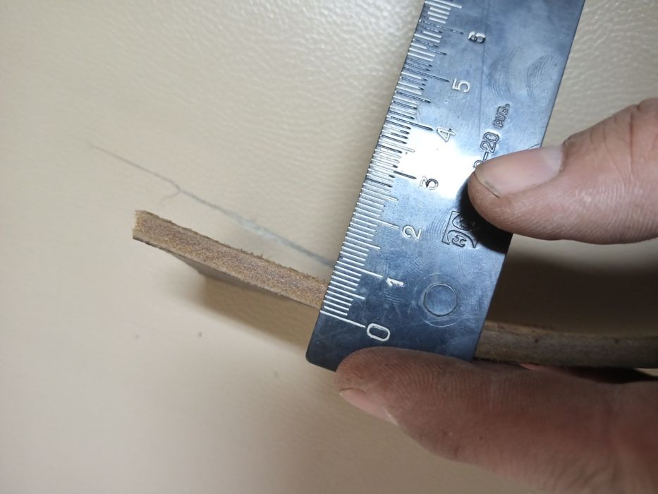 Кайыс кожаный.в хорошом