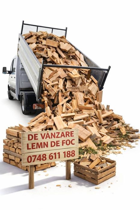 Lemne de foc Preturi Mici
Ofer spre vânzare lemne d
