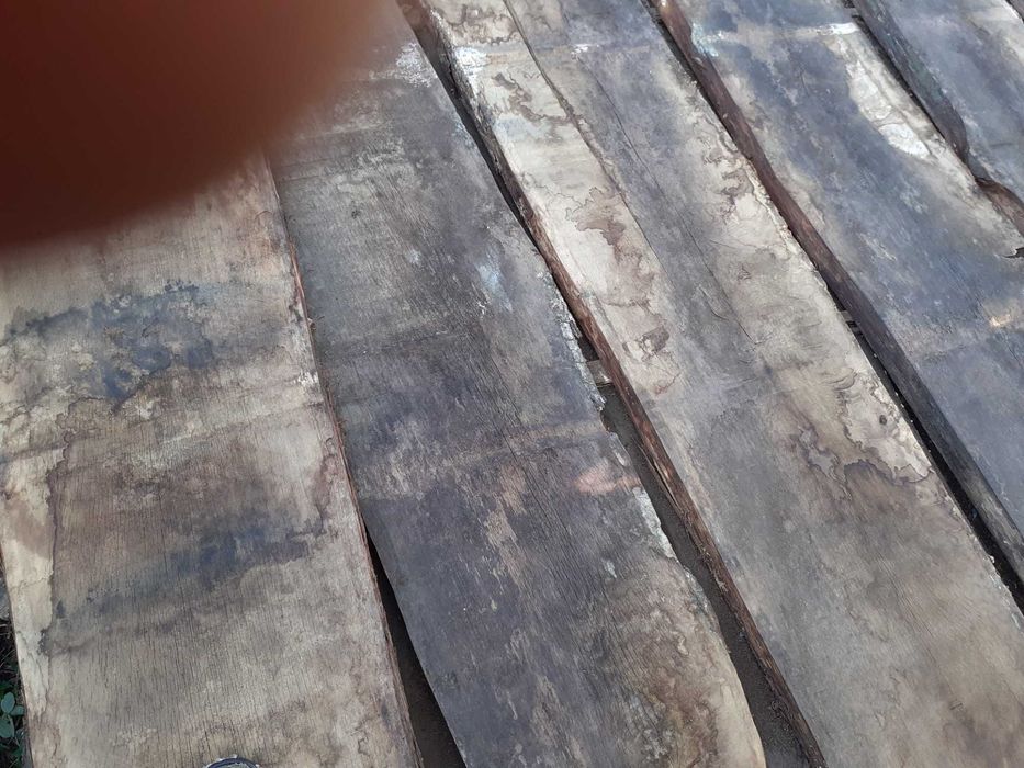 Cherestea uscata stejar