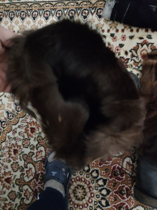 Продаю Унты 42 размер.