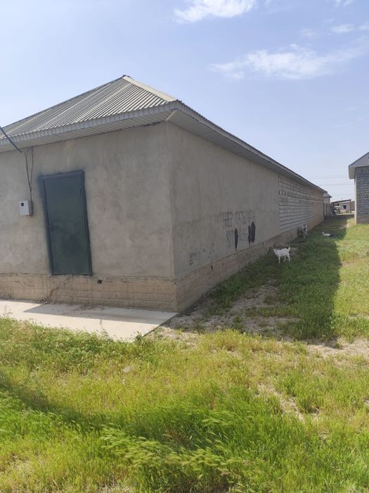 Мал қора үй, Мағасын мен