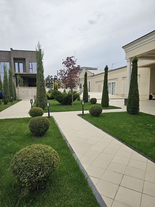 Gazon Toshkent - Газон Тошкент - Живой Руллонный Установка Свое Поле!