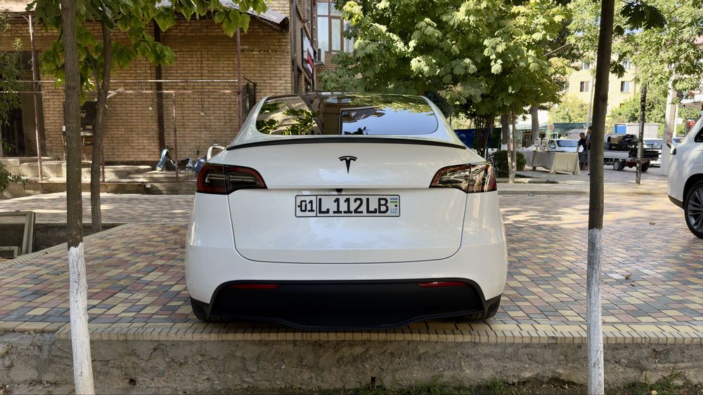 Tesla Model Y Perfomance 2024