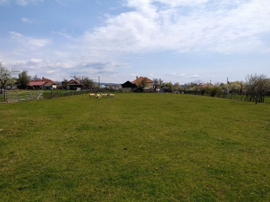 Teren intravilan 3700 mp curent, asfalt, priveliște de vis și liniște