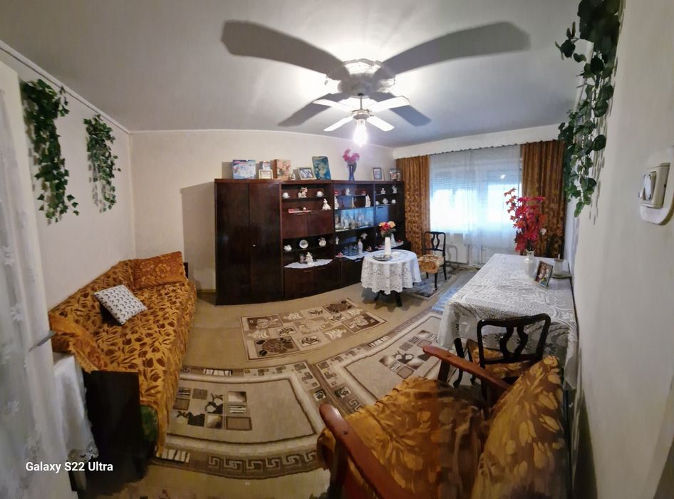 Vand apartament 2 camere paltinisului