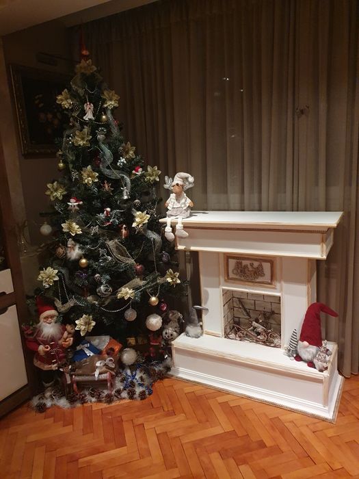 Декоративна  каминиа.