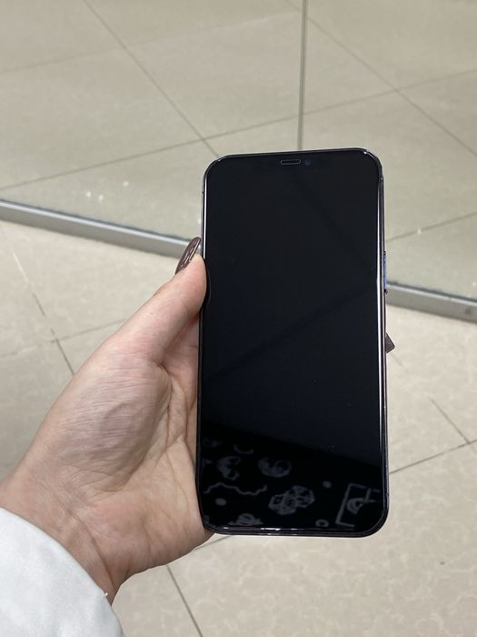 Iphone 12 Pro Max