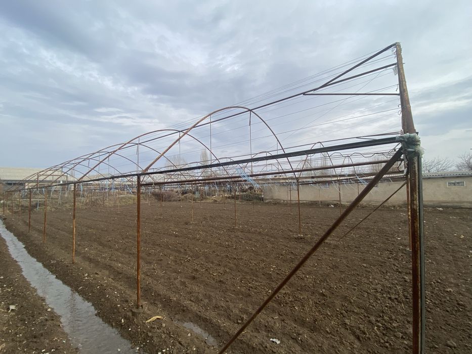 Issiqxona sotiladi 4.3 sotix 18/24 joyi sotigi 5 milyon 2019 qurlgn