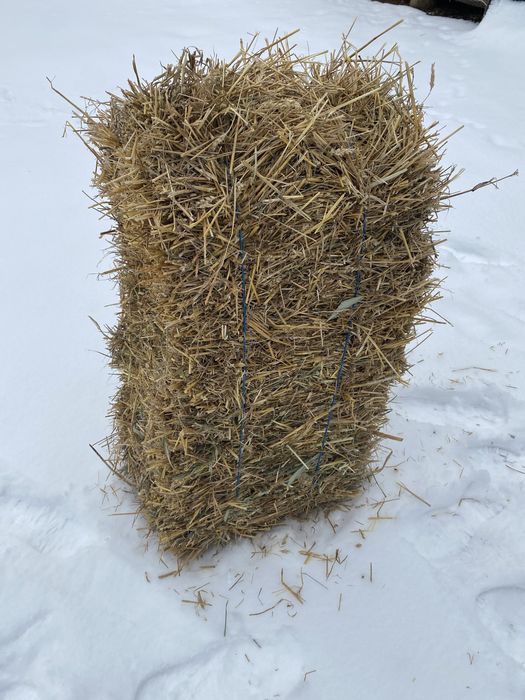 Vand baloti paie de grâu, orz