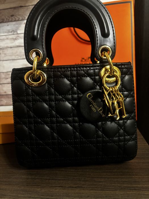 Geanta Dior model 2026