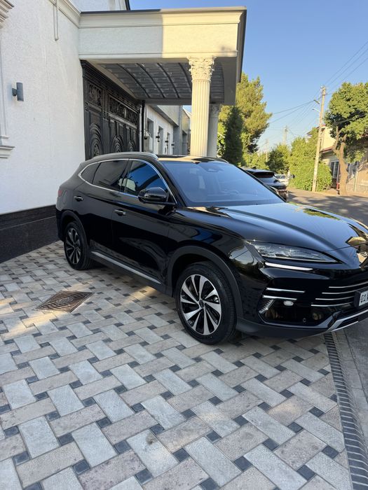 Byd chempion gibrit