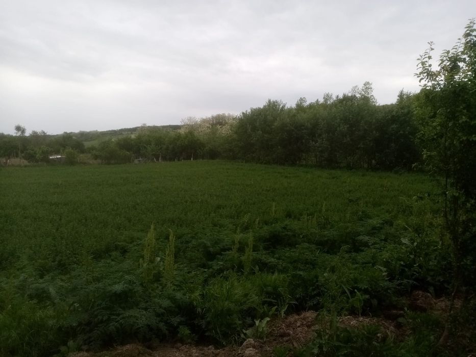 Vand teren  Gubandru