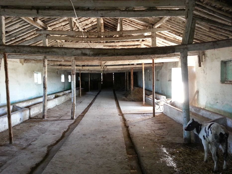 Продава се Склад в Генерал Тошево - 430 кв.м за 89 €/кв.м - Снимка #4