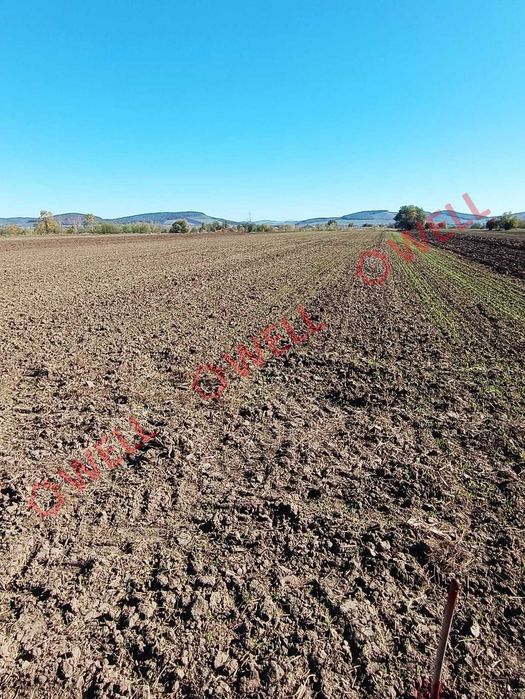 De vânzare terenuri extravilane, situate în Glodeni