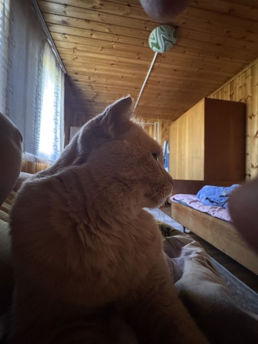 Продам дачу на котлованах. 2 участка объеденены.